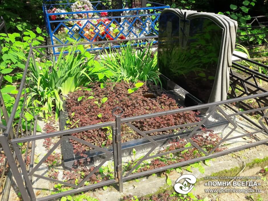 Могила с покосившимся памятником, почвопокровными растениями и старой оградой до начала работ